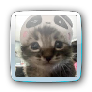 patricktbp's profile picture